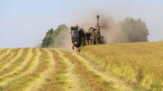 Алтайские аграрии намолотили свыше миллиона тонн зерновых и зернобобовых Алтайские аграрии намолотили свыше миллиона тонн зерновых и зернобобовых