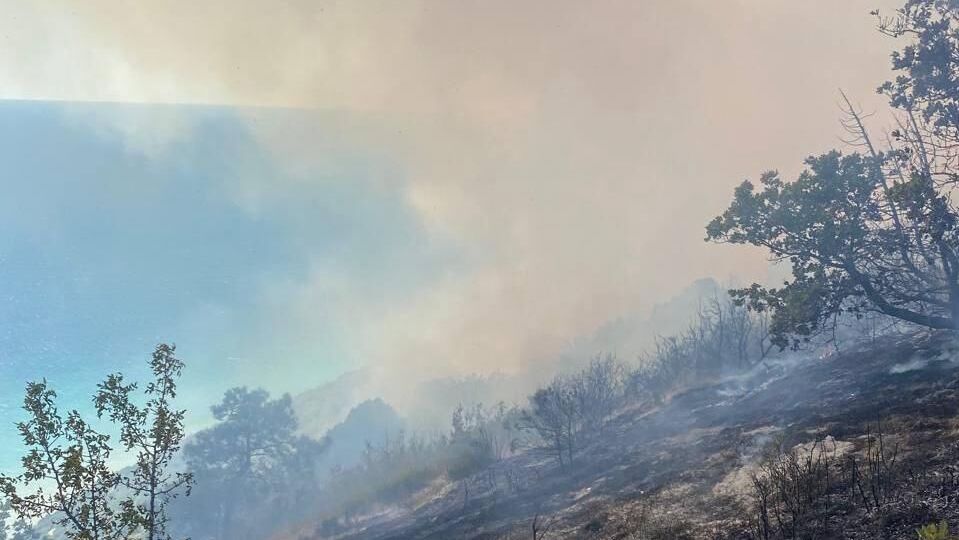 Лесной пожар в Анапе - РИА Новости, 1920, 25.08.2025