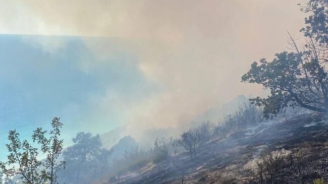 Лесной пожар в Анапе