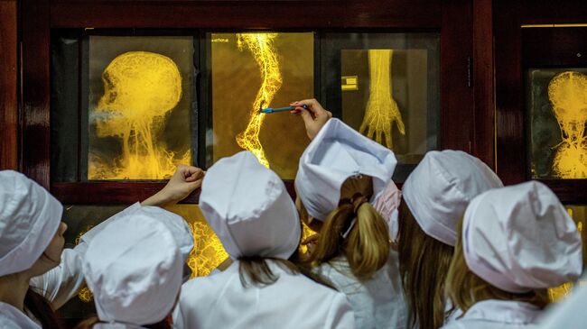 Студенты на занятиях на кафедре анатомии