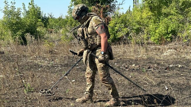 Сапер Каир проверяет местность