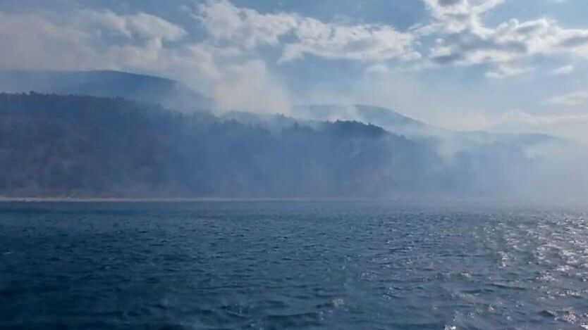 Лесной пожар на территории Пшадского лесничества под Геленджиком - РИА Новости, 1920, 29.08.2025