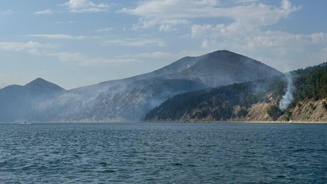 Пожар на территории Пшадского лесничества под Геленджиком
