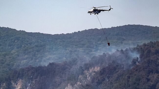 Вертолет во время тушения крупного лесного пожара на территории Пшадского лесничества Вертолет во время тушения крупного лесного пожара на территории Пшадского лесничества