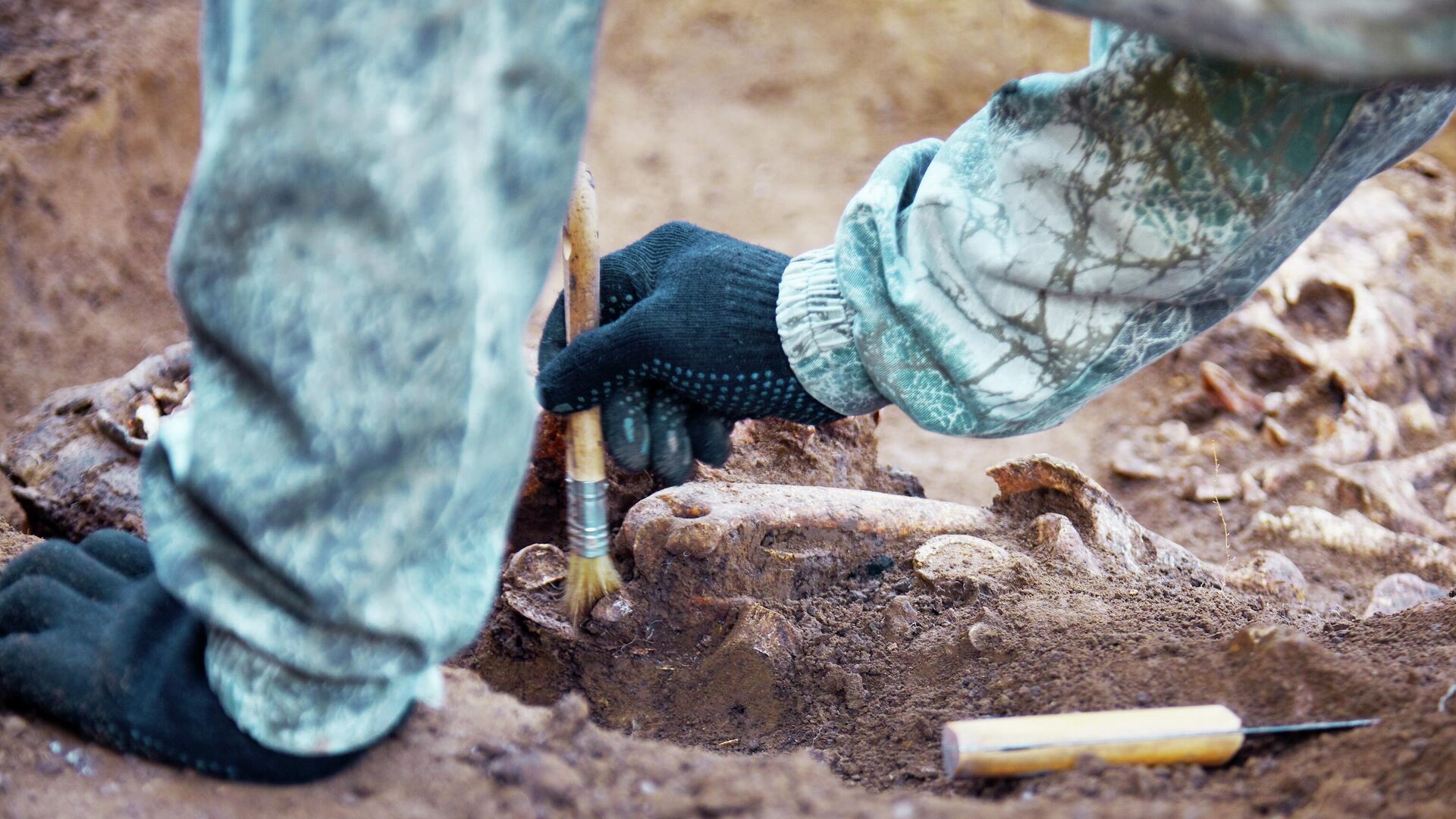 Археолог за работой  - РИА Новости, 1920, 30.08.2025