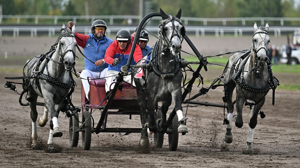 "Жену подобрать проще": что придумали для русских троек в Казани