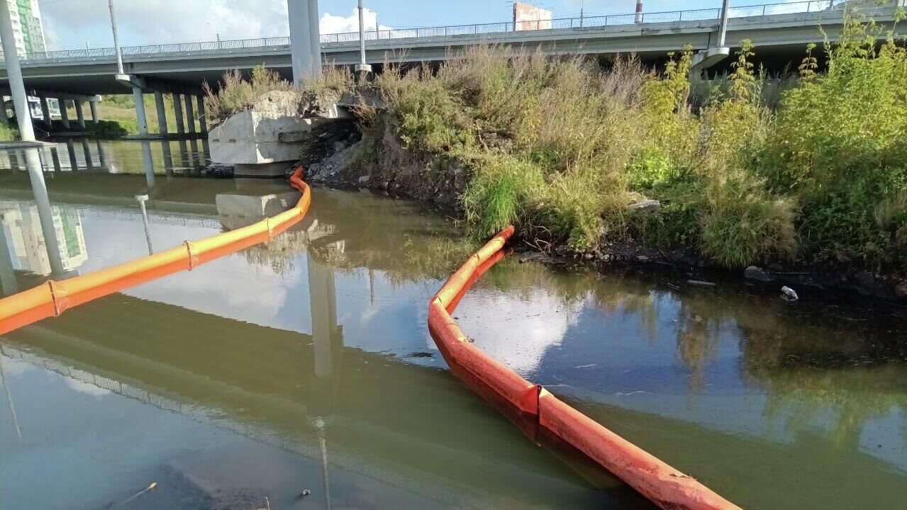 Обследование реки Миасс в Челябинской области Обследование реки Миасс в Челябинской области - РИА Новости, 1920, 01.09.2025
