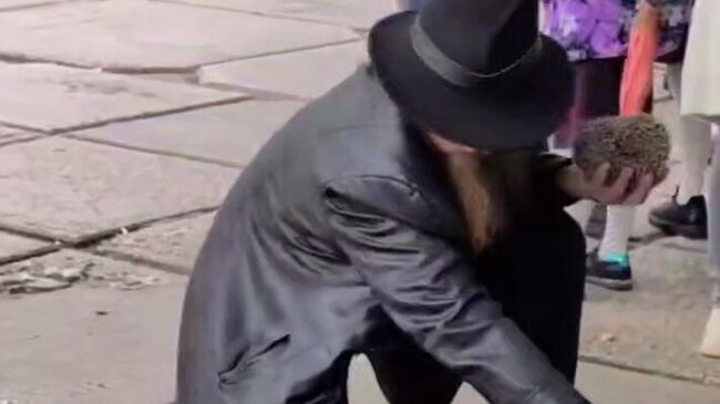 Мужчина жонглировал живым ежом во время школьной линейки на территории гимназии в Новосибирске