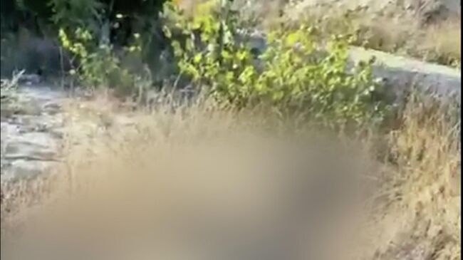 Националисты Азова*, уничтоженные российскими бойцами в районе Глущенково в ДНР