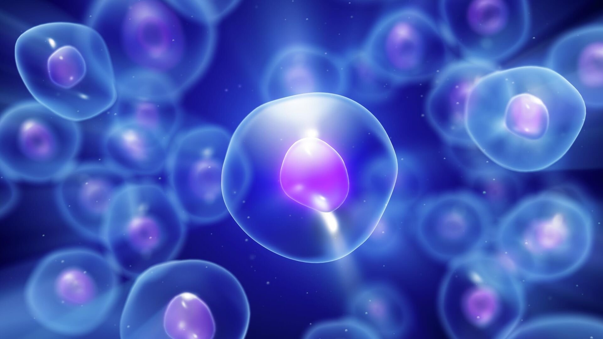 Яйцеклетки - РИА Новости, 1920, 04.09.2025