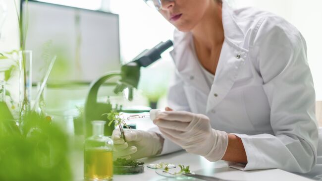 В лаборатории