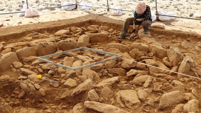 Археологические раскопки в Мендик-Тепе