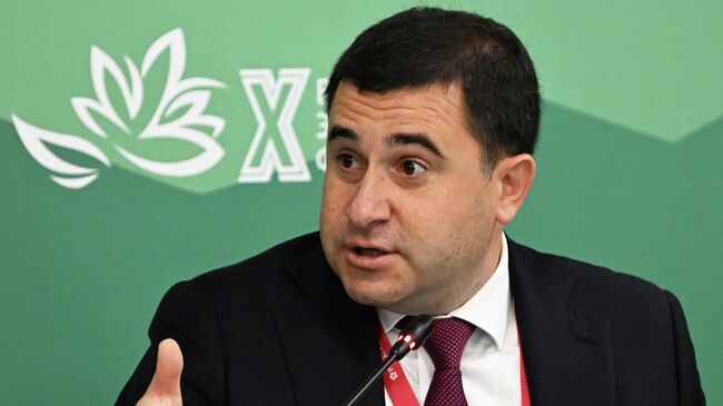 Замглавы Минстроя РФ Никита Стасишин на ВЭФ-2025