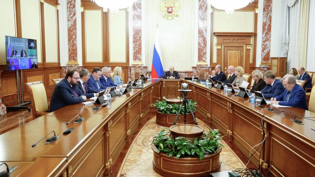Председатель правительства РФ Михаил Мишустин проводит заседание кабинета министров РФ