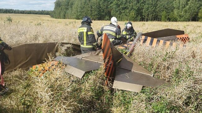 Последствия крушения легкомоторного самолета возле деревни Ильясово под Луховицами Московской области 