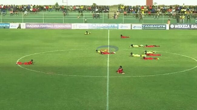 Матч предсезонного турнира между футбольными командами Танзании Сити ФК Абуджа и Джу-Ку был приостановлен из-за нашествия роя пчел Матч предсезонного турнира между футбольными командами Танзании Сити ФК Абуджа и Джу-Ку был приостановлен из-за нашествия роя пчел