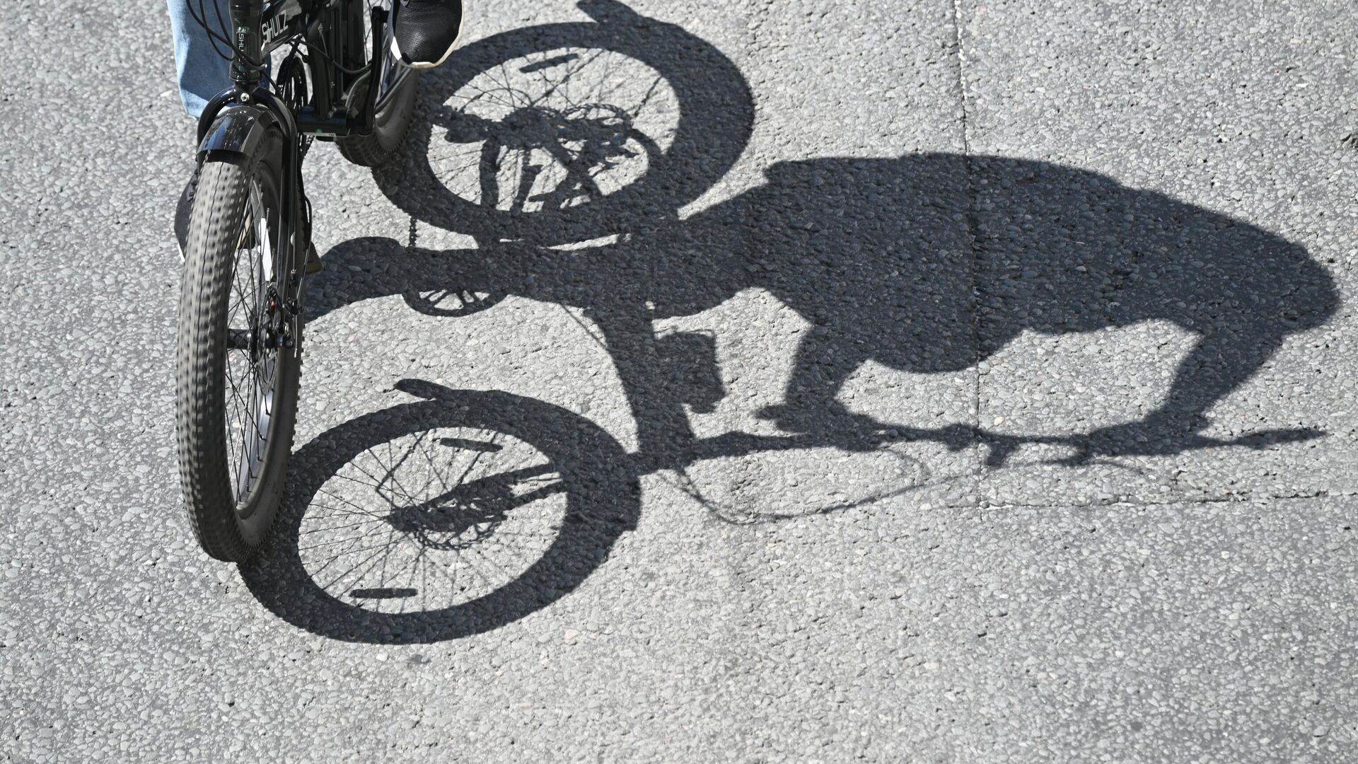 Участник велофестиваля Участник велофестиваля - РИА Новости, 1920, 08.09.2025