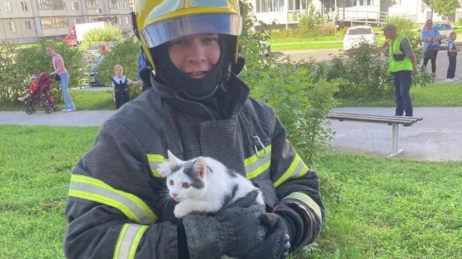 Сотрудник МЧС с котом, спасенным в Великом Новгороде