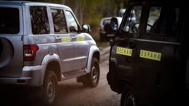 Лесная охрана Подмосковья