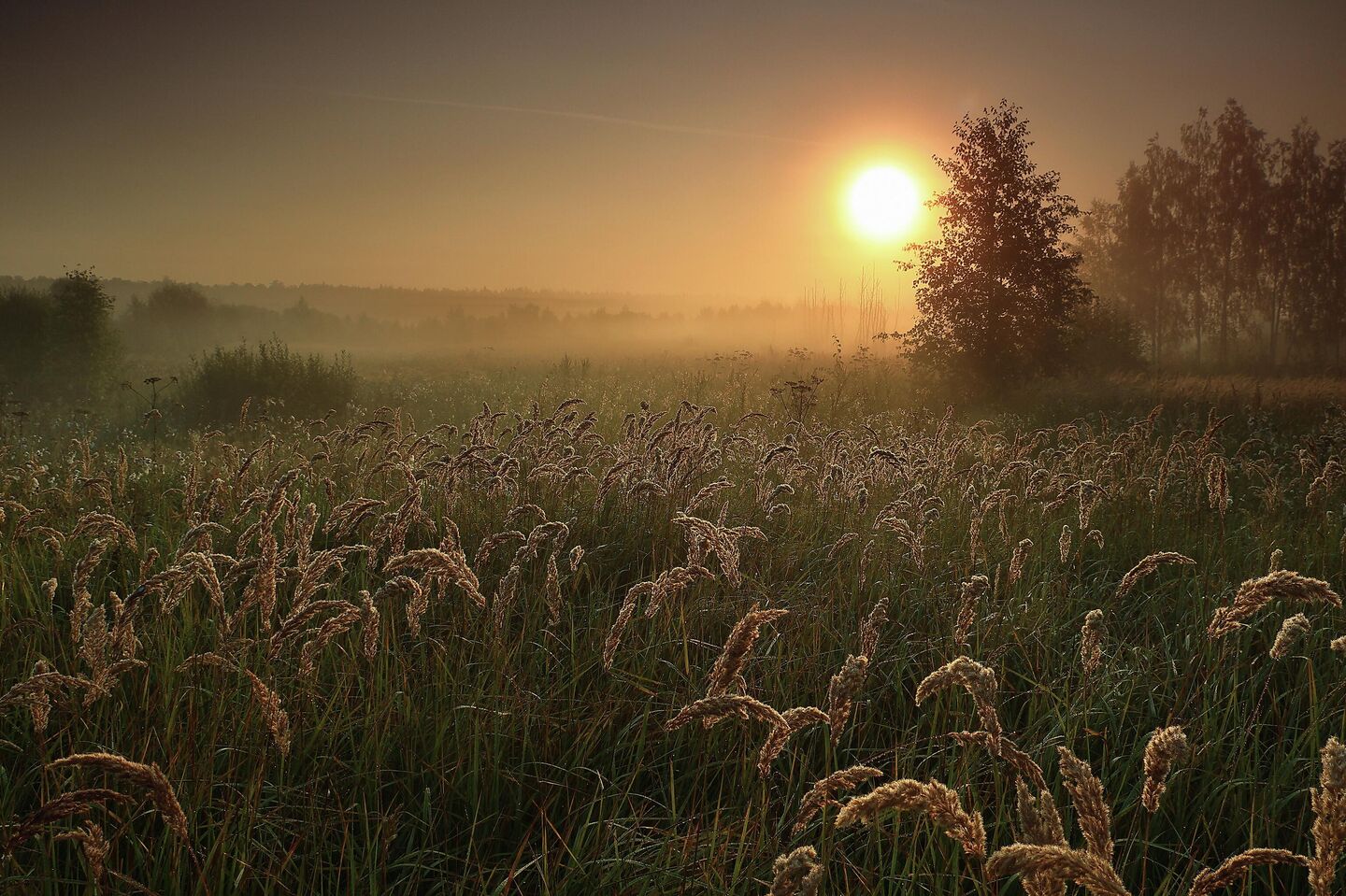 Номинация Пейзаж