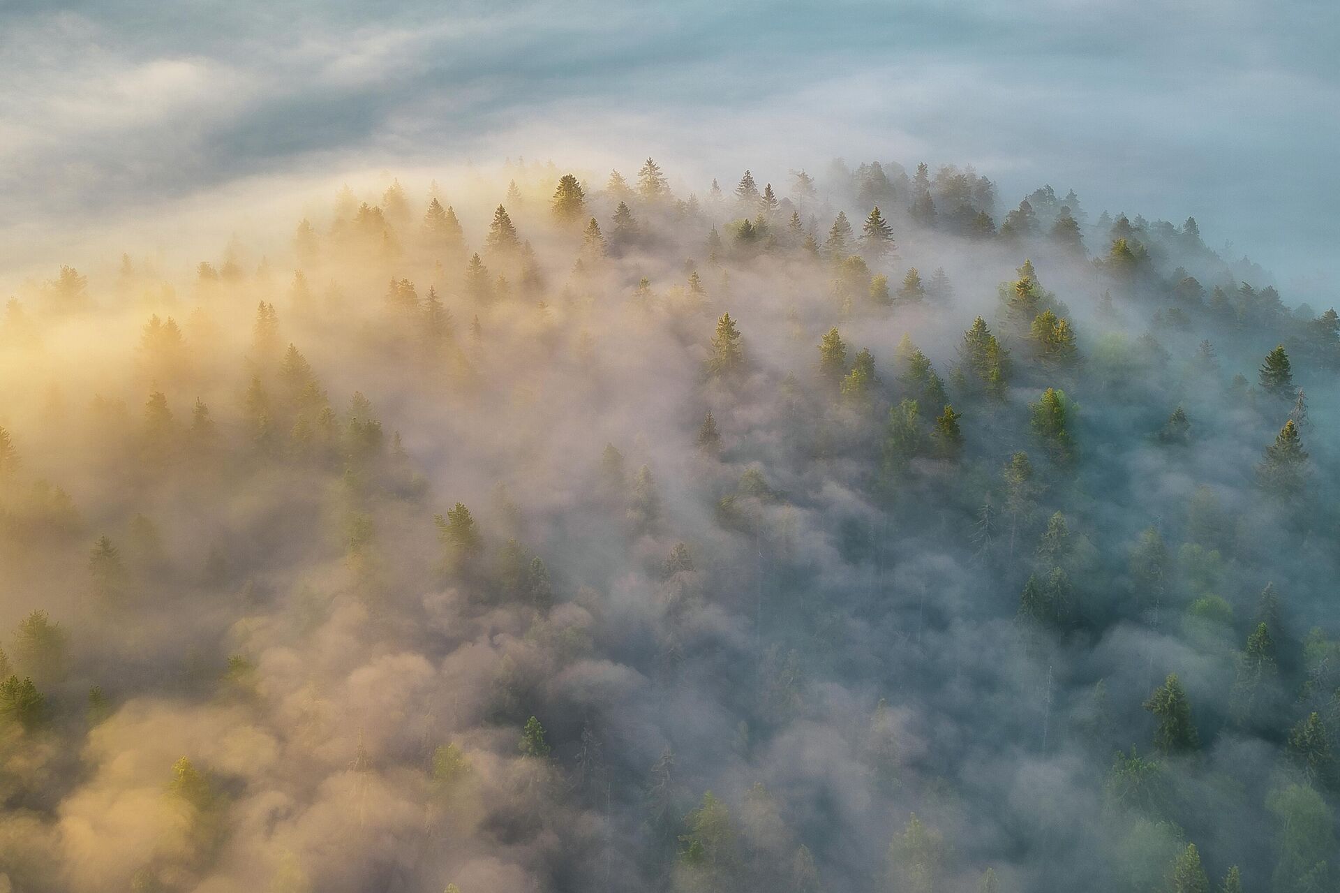 Номинация Магия стихии