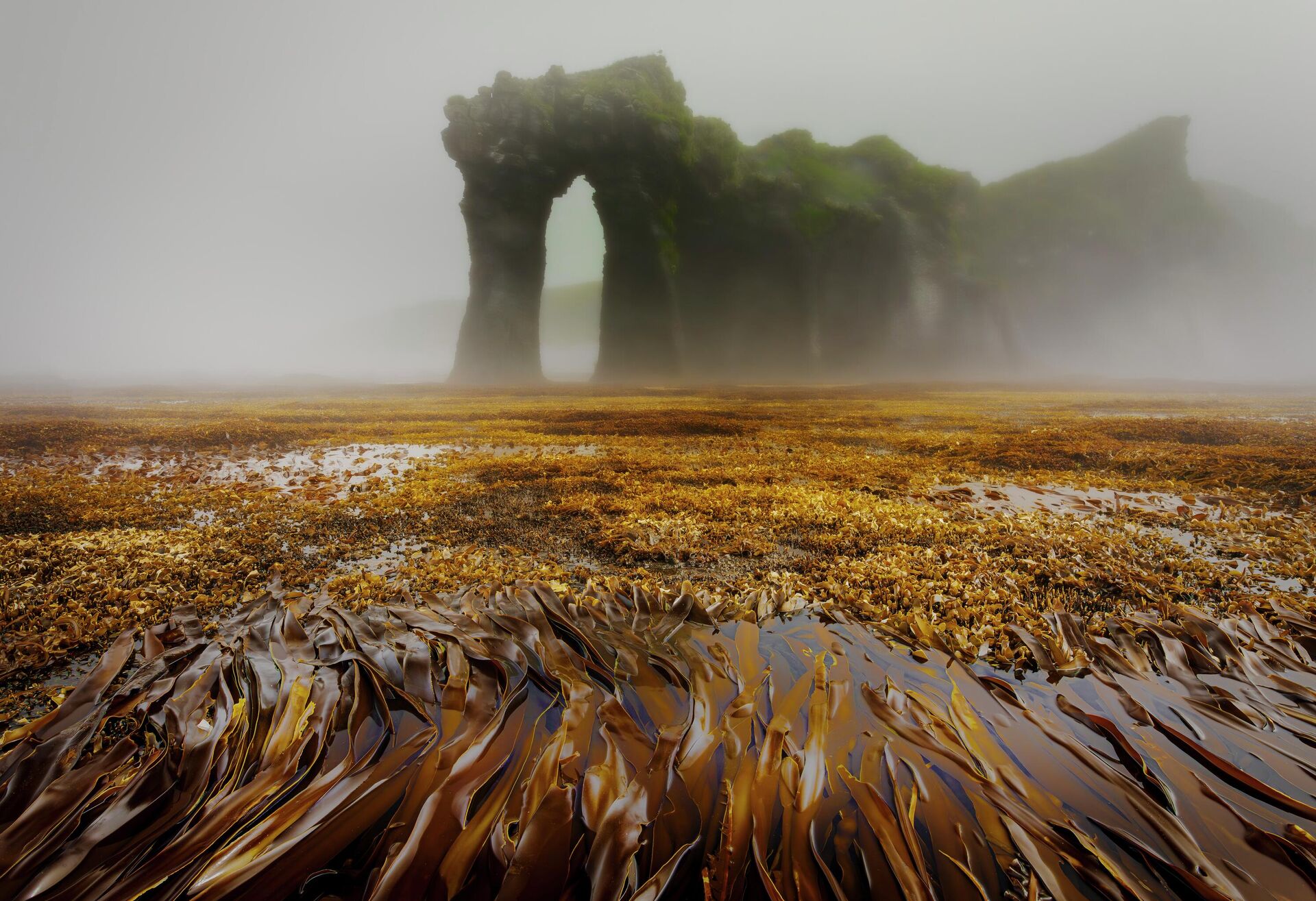 Номинация Пейзаж