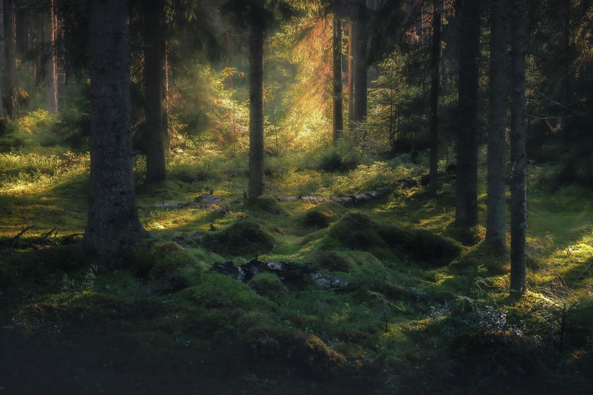 Номинация Самые красивые обои