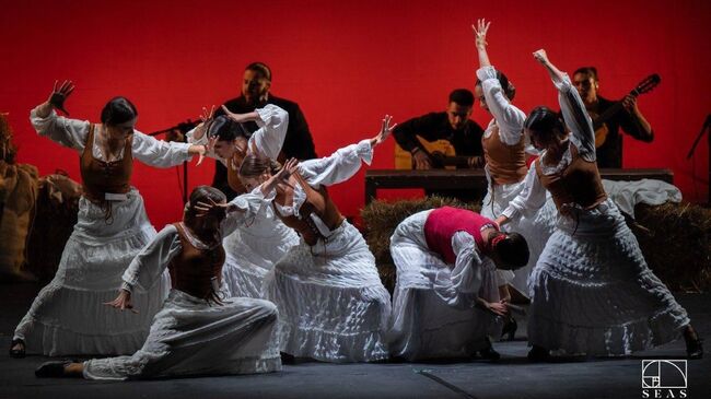 Спектакль Кармен труппы Barcelona Flamenco Ballet Спектакль Кармен труппы Barcelona Flamenco Ballet