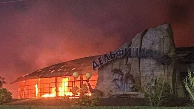 Пожар в Ейском зоопарке