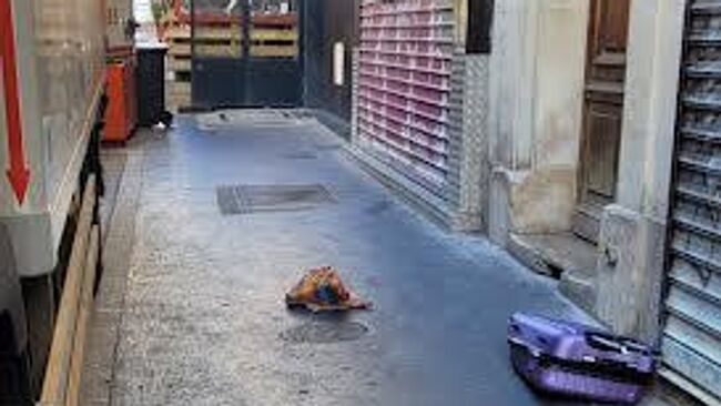 Голова свиньи, обнаруженная на улице в Париже