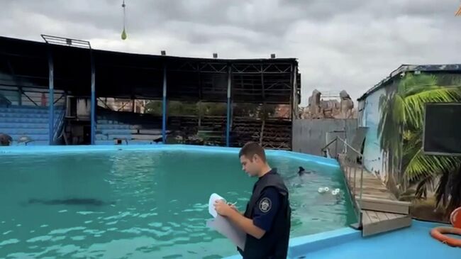 Последствия пожара в зоопарке Ейска