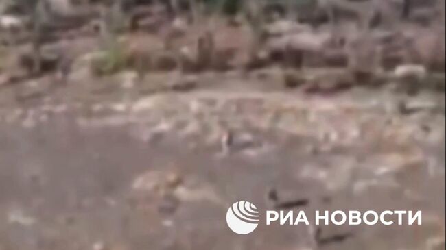 Кадры комбинированной атаки FPV-дронов и штурмовиков на позиции ВСУ в Запорожской области