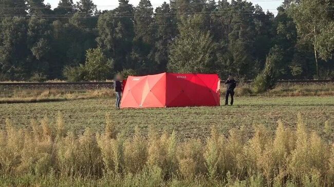 Сотрудники правоохранительных органов на месте обнаружении сбитого беспилотника в населенном пункте Чоснувка, Польша