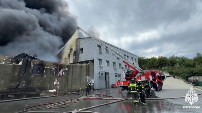 Пожар на складе во Владивостоке. Кадр видео из соцсетей
