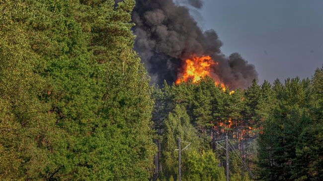Пожар в пригороде Вильнюса, Литва. 10 сентября 2025