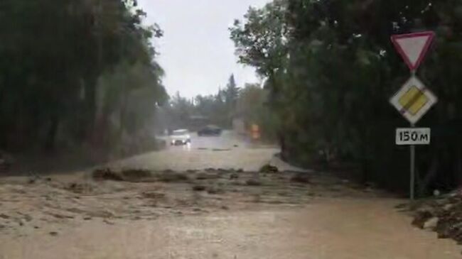 В районе села Запрудное под Алуштой сошел сель. Кадр видео из соцсетей