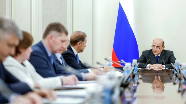 Председатель правительства РФ Михаил Мишустин проводит совещание по экономическим вопросам