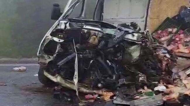 Последствия ДТП на трассе в Кандалакшском районе Мурманской области. Кадр видео