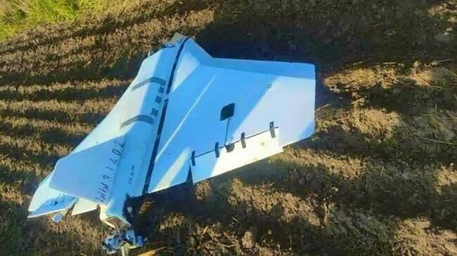 Фото БПЛА, опубликованное польскими СМИ