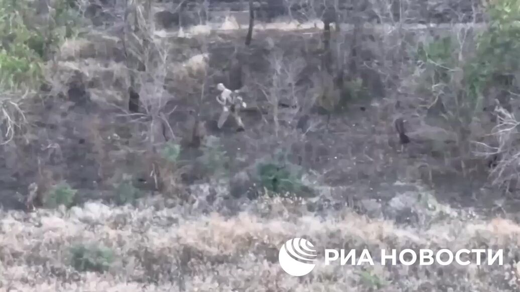 Офицеры украинской разведки сдались в плен на Запорожском направлении