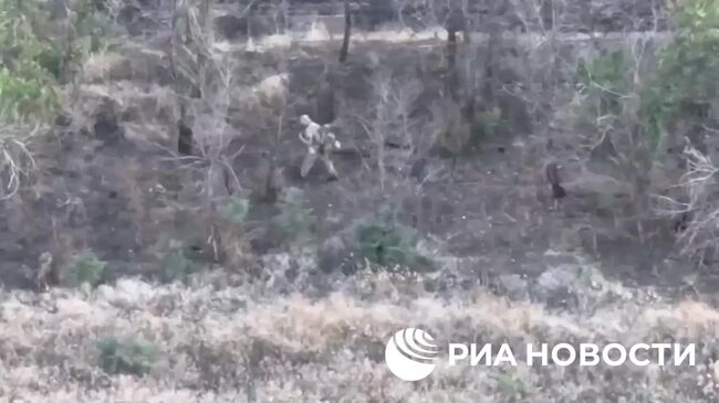 Офицеры ГУР Украины сдались в плен бойцам ВС России на Запорожском направлении