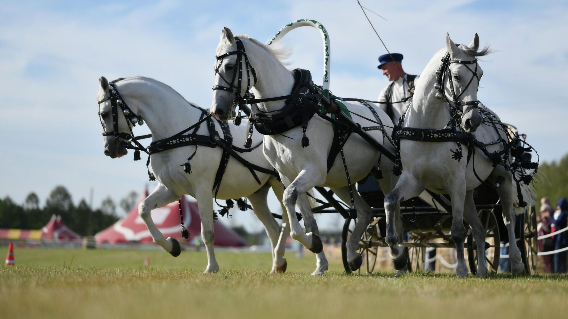 Участники конной шоу-программы Русская тройка. Полет сквозь века в кинопарке Москино в Москве - РИА Новости, 1920, 13.09.2025