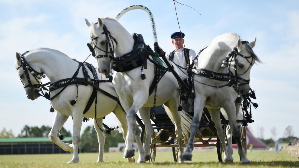 Конная шоу-программа "Русская тройка. Полет сквозь века"