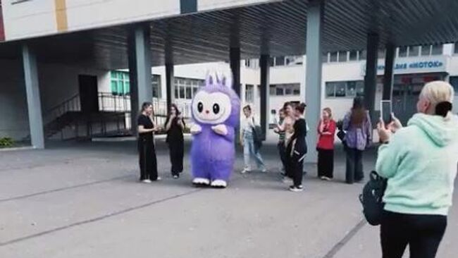 Девушка в костюме Лабубу пришла на выборы губернатора Новгородской области