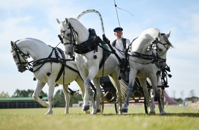 Участники конной шоу-программы Русская тройка. Полет сквозь века в кинопарке Москино в Москве