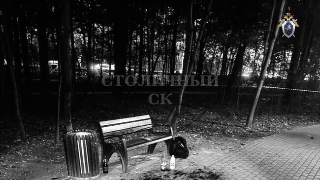 Место проишествия в Филевском парке на западе Москвы