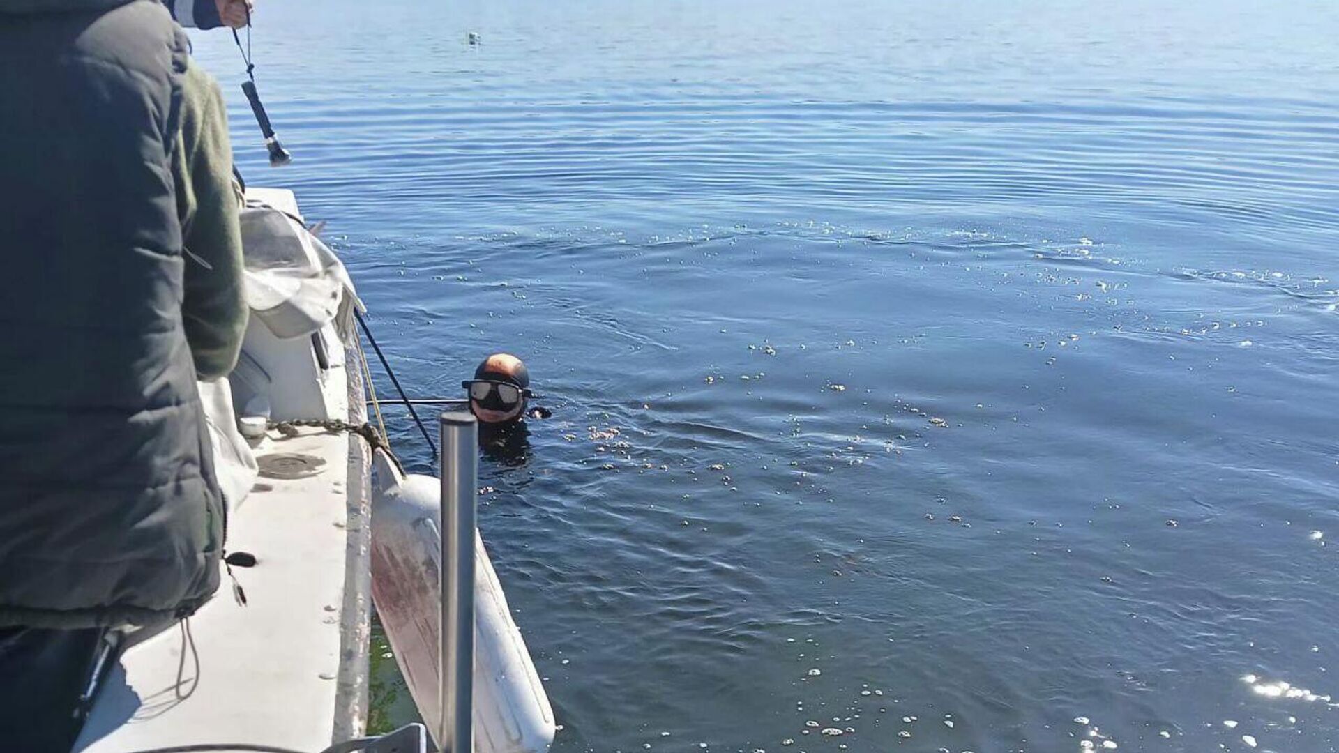 Сотрудники МЧС во время проведения поисковых работ на реке Волге - РИА Новости, 1920, 20.09.2025