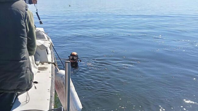 Сотрудники МЧС во время проведения поисковых работ на реке Волге