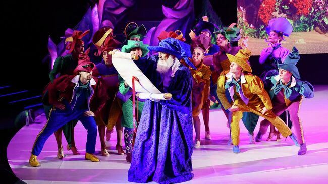 Театрально-цирковое шоу  коллектива РомановАрена