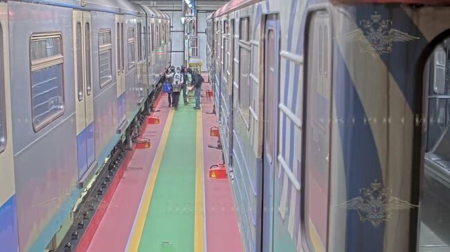 Задержание граффитчиков, раскрашивавших вагоны метро